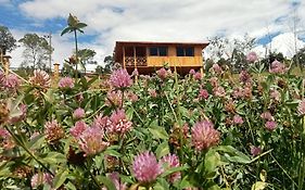 Cabaña Colibri